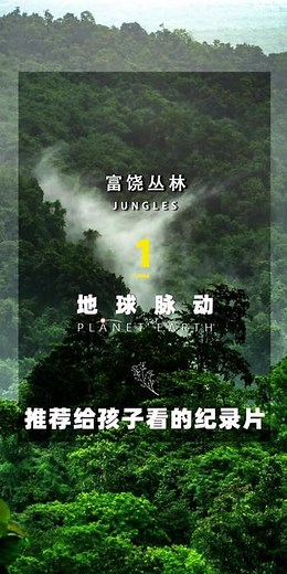 地球脉动-富饶丛林1 #丛林探险 #森林 #奇妙的动物#神奇大自然 #孩子看的纪录片