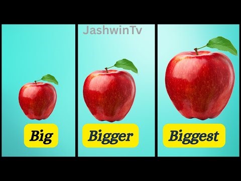 Comparison Big, Bigger, Biggest for kids with examples / compare Different sizes for kids /