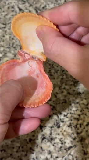 Simple home decor ideas #artscraft #trending #smallbusiness #homemadecreations