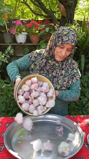 ‎شکوفه بانوی گیلان‎ on Instagram‎: "سیر ترشی Pickled garlic مواد لازم : سیر به مقدار لازم پوست روی سیر را بکنید و سپس داخل سیر نمک بریزید و به مدت یک الی دو روز داخل افتاب بزارید تا خشک شود . سپس سیر هارو داخل ظرف شیشه ای بچینید به شکلی که فضای خالی داخل ظرف نداشته باشیم . برای یک کیلو سیر مجدد یک قاشق غذاخوری نمک اضافه کنید . و مقدار البالوی خشک برای خوش رنگ شدن سیر ترشی و برای گرفتن تندی سرکه یا شیره خرما اضافه کنید یا کمی نبات . ترجیحا از ظرف شیشه ای و سرکه قرمز استفاده کنید. در جای تاریک و خ
