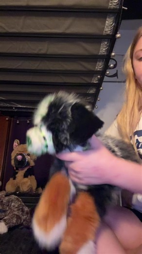 Rosalily/me against the world (@essa_help_me)’s videos with home - 🍒🪩🕺🏻