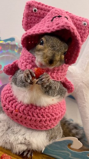 SHARK WEEK 2023 🦷 🦈 SUIT BY: @enchantingcreations7 #newspecies avocadoshark #avocadosharkdodododododo #SharkinAintEasy #sharkweek #sharkweek2023 #discoverychannel #greatpink #pinkhammerhead #infamousavocadoshark #avocadoshark #workingonmyscary #avocadosharkschewwiththeirmouthsopen #noisyeaters #noavocadosafe #hideyouravocados #avocadosruninterror #thumbelinashark #avocadosharksiting #ithinkweregoingtoneedabiggeravocado #superscary #lifewiththumbelina #littlethumbelinagirl #teamthumbelina @disc