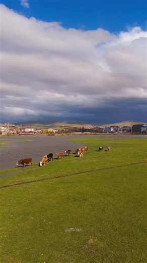 GöğeBak Dr on Instagram: "Doğa denilince #ARDAHAN"