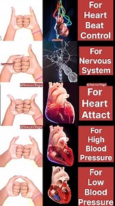 3.4M views · 23K reactions | 5 Best Hand Exercises ✅️ For Heart...