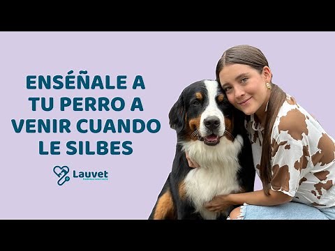 CÓMO HACER QUE TU PERRO VENGA CUANDO SILBAS | Tutorial paso a paso - Lauvet