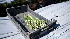 Fête du travail ou fête des travailleurs ? Ce que l'on célèbre vraiment le 1er mai