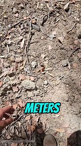 Alluvial drift mining was a dangerous and rewarding pursuit. Unsupported ground is incredibly dangerous. Would you go in? | Vo-Gus Prospecting