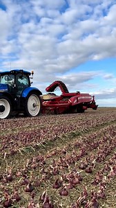Sunset digging in South Australia 🌅 Looks like Maddi is giving it a red hot go with her New Holland machinery. 📸: @allthingsfarming.maddi on Instagram | New Holland Agriculture