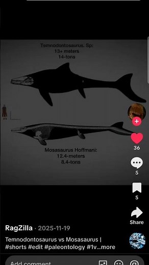 Temnodontosaurus Sp: vs mosasaurus hoffmanni 2026