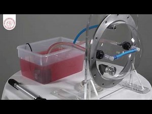 Ophthalmologie - Demonstration der Pulsation der retinalen Zentralvene