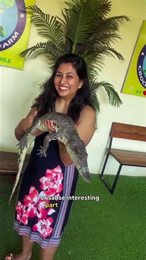 Phuket Crocodile Farm🐊 Crazy Show Experience (Ep52)✈️#PhuketTravel #ThailandTravel #YouTubeShorts