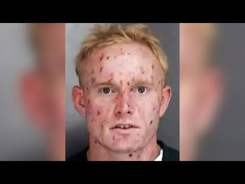 He Built A Nuclear Reactor In His Mom’s Shed ☠️