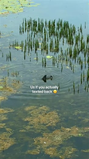 Text me backkk 🥲