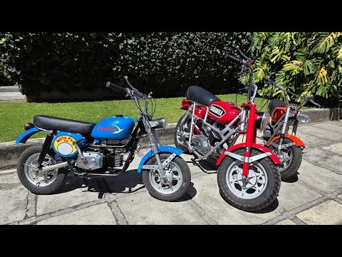 PROYECTO MINI MOTOS CARABELA PONY 60 Y MINI 100