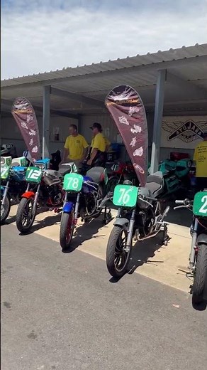 Yamaha RD LC 250 race bikes #yamaha #rd #yamahard #lc250 #2stroke #2strokelife #racing #70s80s90s