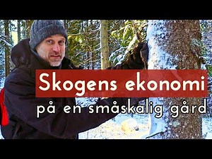 Forest Economy on a Small-Scale Farm - Selective Logging with Anders Wilkes