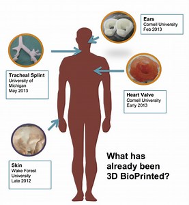 Current Research   Development