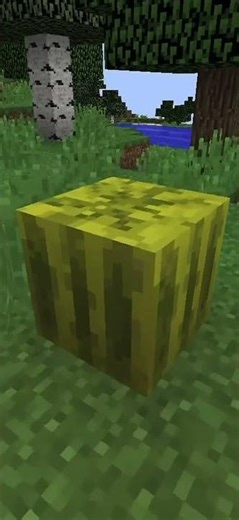 The TOP 5 SCARIEST things in MINECRAFT!