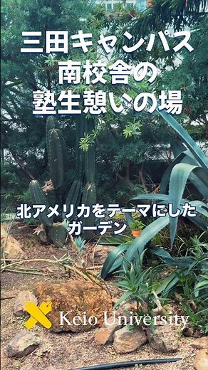 【塾生の憩いの場！～三田キャンパス南校舎～】#shorts #慶應