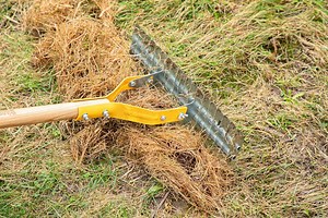 How to Dethatch a Lawn for Healthier Grass
