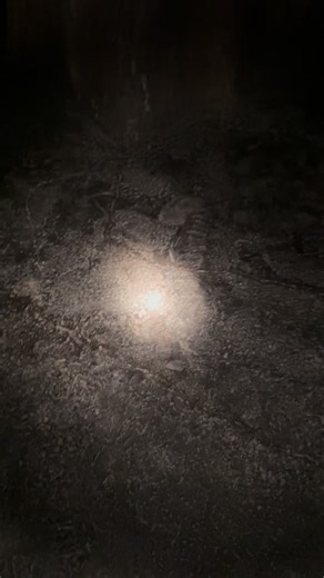 The Museum is coming to life! 🌙✨ Join us for the Putnam Sleepunder: A Night at the Museum, an after-hours adventure for kids ages 8–12! Explore the museum at night, dive into hands-on science, enjoy pizza, and watch Night at the Museum on the GIANT Screen. It’s all the fun of a sleepover, without spending the night! One parent is encouraged to accompany groups of 3–5 kids as a chaperone. The accompanying parent can use code “sleep” at checkout to receive a complimentary chaperone ticket. 🌙 Get