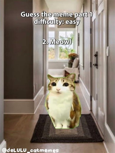 Guess the meme part 1 #catmemes #guessthememe