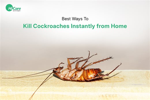 30 Best Ways to Get Rid of Cockroaches from Your Home Instantly!