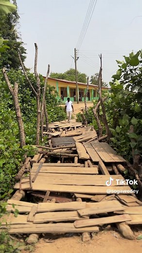 Exploring the Comboni School Footbridge Experience