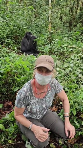 Thinking of combining a Gorilla Trek with a Serengeti Safari but not sure how? We've got you covered! 🤔➡️✅ First, Choose Your Gorilla Destination: 🇷🇼Rwanda (Volcanoes NP): Perfect for shorter trips & easier logistics. 🇺🇬Uganda (Bwindi/Mgahinga): For the ultimate jungle immersion & more permit availability. Then, Fly to the Serengeti! ✈️ Direct flights make combining these destinations easier than you think. Our Recommended Itinerary: 📍4 days in the Serengeti (for the Big Five & the Migrati