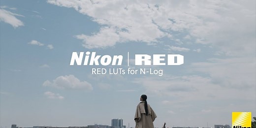 Check Out These New RED N-Log LUTs for Your Nikon Cameras
