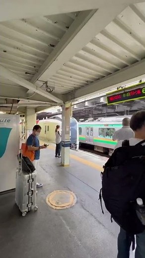 Narita Airport Express Train from Shinagawa