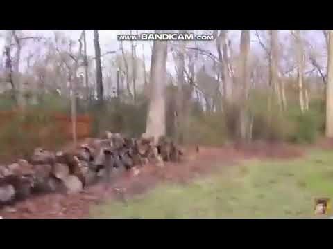 Bored Smashing Nintendo DS