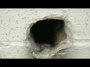 SCP-1162 | demonstration | Minecraft