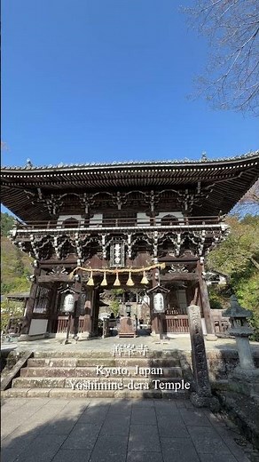 京都 善峯寺の境内が美しすぎた