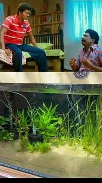 Monster Planted Tank Summer Update is amazing 🔥💯
