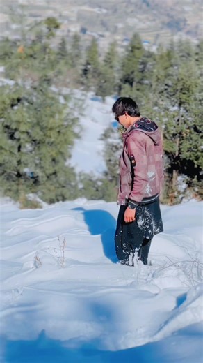 Stunning Winter Snowfall Captured in Beautiful Nature