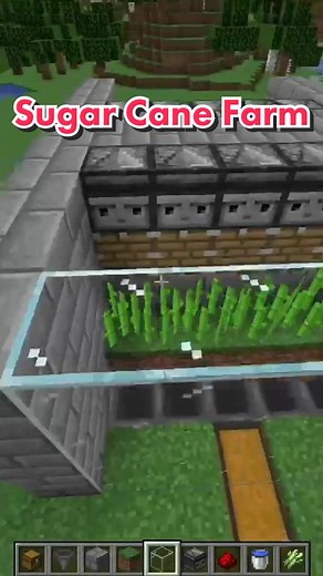 Simple and Efficient Design 🐼 Inspired by Arystotle Gaming #minecraft #sugar #cane #farm
