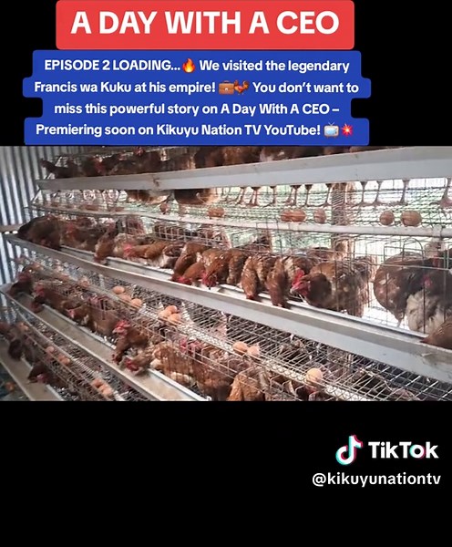A Day with CEO Francis Wa Kuku: Inspiring Journey