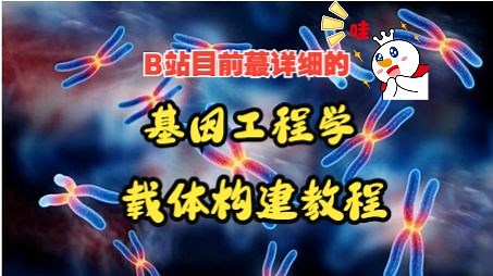 【基因工程教程】基因克隆、干扰、敲除的载体构建原理操作流程及常见问题解析