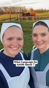 What language Do Amish Speak ? #amishtiktok #amishbuilt #amish #amishcountry #amishlife | Lovina The Amish Girl