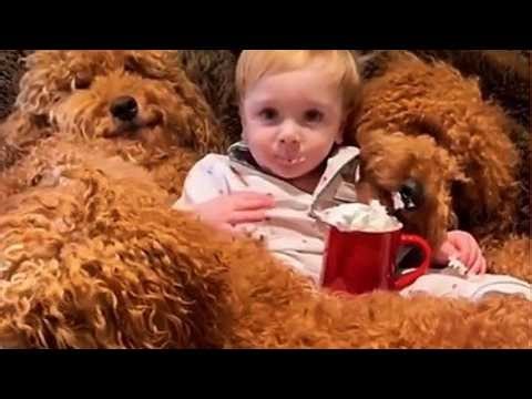 SPANISH WATER DOG Refuses to Leave Baby Alone 🐾❤️