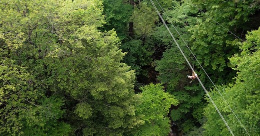 Treetops Zipline Canopy Tour | Adventures on the Gorge