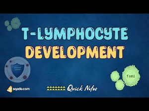 T-Lymphocyte Development - Introduction