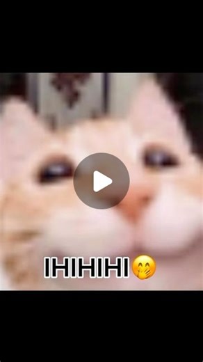 Yukio amphibian seal on Instagram: "Me and you 4ever!! my TikTok account: @yukio.97 🎀✨#animes #memes #couple #animegirls #animelife#fyp #fyp"