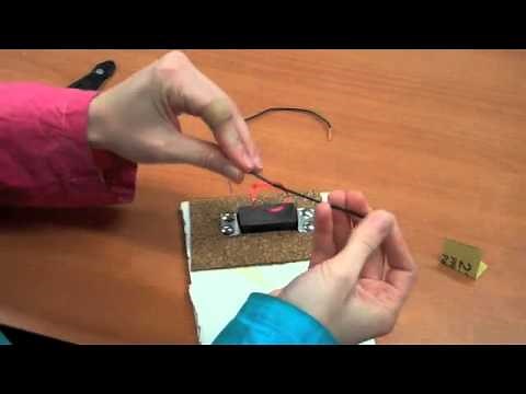Electric Motor: a fun, at-home science experiment