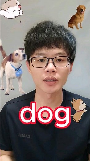 how to say "dog" in Chinese #learnchinese #chineselanguage #mandarin #chineselesson