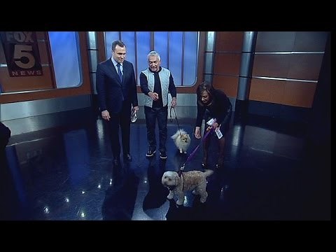 Dog Expert Cesar Millan on Training Humans