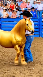 62K views · 2.2K reactions | Massive Bidding War Over These Rare Miniatures and Mini Gypsy Vanners at Auction #gypsyvannerhorse #livestockauction #horsesale #beautifulhorses #cuteminipets #biddingwar | Cute Mini Pets | Facebook