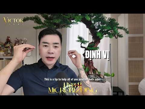 Lesson 3 – Hyper Microblading Curriculum #victorhoang