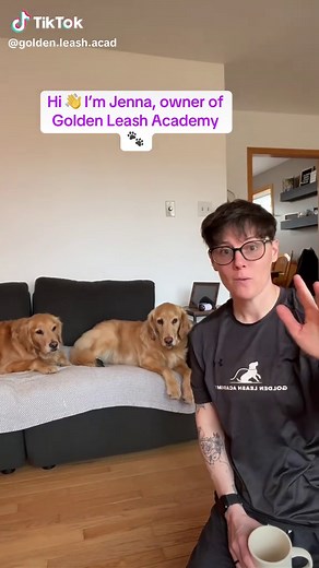 Golden Leash Academy: Expert Dog Training in Cape Breton